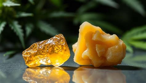 Shatter Vs Wax Cannabis Concentrate Comparison