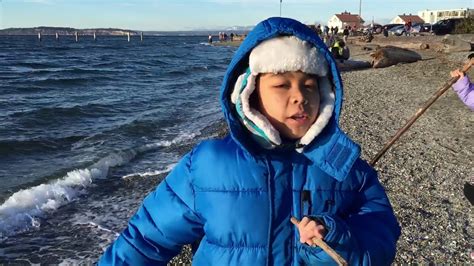 Mukilteo Beach Youtube