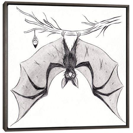 Bat Canvas Artwork By Yohan Sacre Icanvas Canvas Prints Canvas