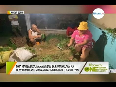 One North Central Luzon Taniman Ng Sibuyas Nalubog Sa Tubig Youtube