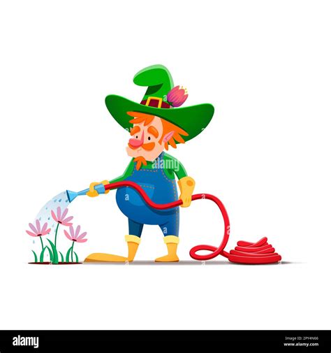 Cartoon Gnome Or Dwarf Character Watering Flowers Fairy Elf Fantasy Dwarf Or Garden Midget