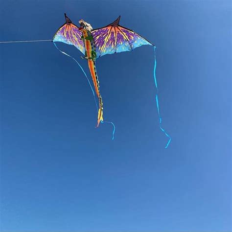 Kites – Kitty Hawk Kites Online Store