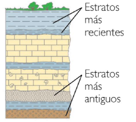 Paleontología 2 Dataciones