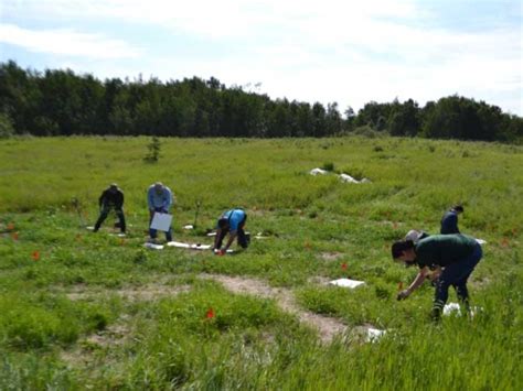 AWES Agroforestry And Woodlot Extension Society Of Alberta