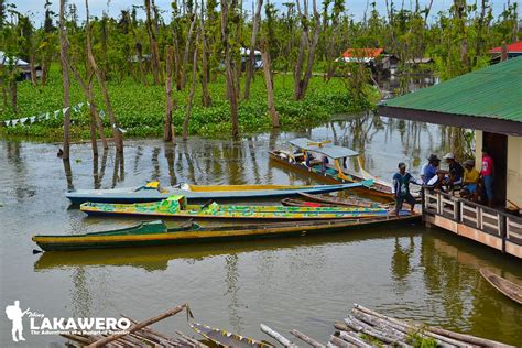 AGUSAN MARSH WILDLIFE SANCTUARY: One Humbling Experience