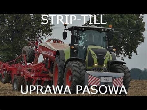 Uprawa Pasowa Rzepaku Youtube