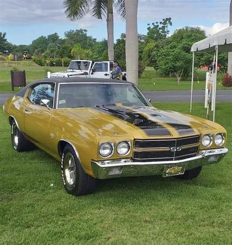 An Old Yellow Muscle Car Parked In The Grass With Other Cars Behind It