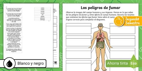 Guía De Trabajo Efectos Del Cigarro En El Organismo