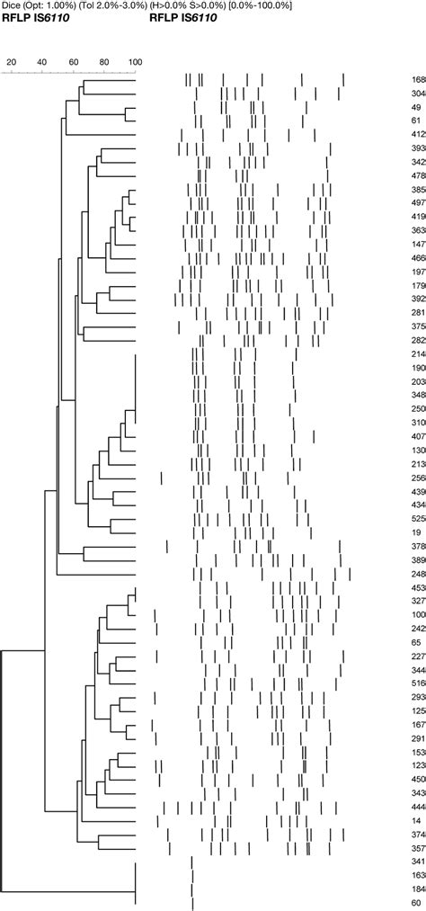 Figure Dendrogram Showing The Relatedness Of Is6110 Rflp Patterns Of 61