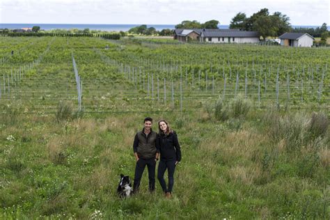 Sweden Is The New Frontier Of Winemaking Meet The Growers Profiting