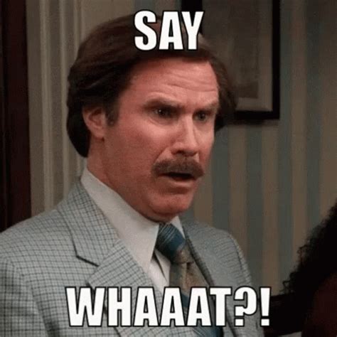 Say What Now Anchorman GIF - SayWhatNow Anchorman SayWhat - Discover ...