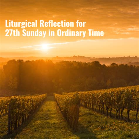 Liturgical Reflection For Th Sunday In Ordinary Time Church Of