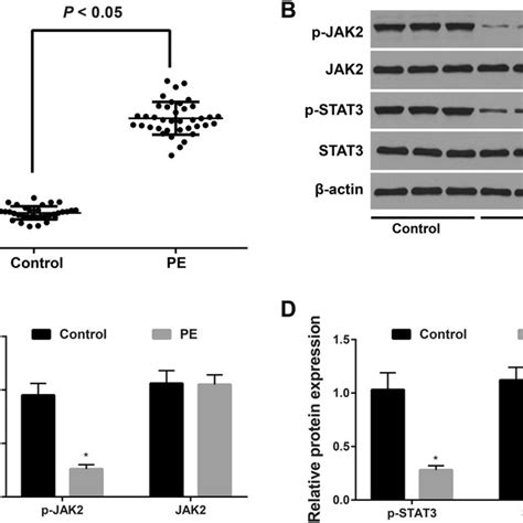 Expression Of Mir B And The Jak Stat Pathway In Placental Tissues