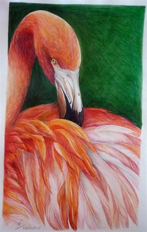 A Drawing Of A Flamingo In Pastel Pencils