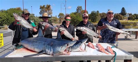 PORTLAND 8 HOUR SHARK BOTTOM BOUNCING OFFSHORE FISHING Minimum 5