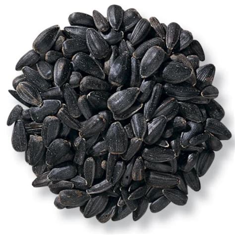 Black Oil Sunflower Seed West Coast Tropical