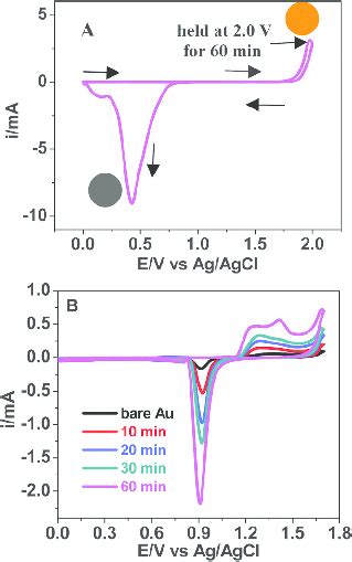 A Cyclic Voltammetric Fabrication Of The NPGF Electrode At The Scan