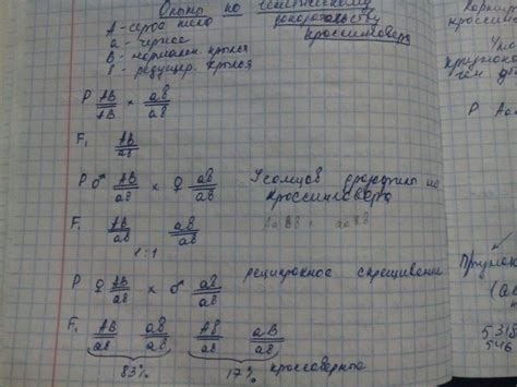 22.Кумулятивная и некумулятивная полимерия.