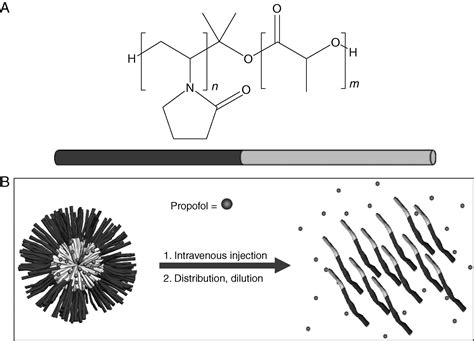 Anaesthetic Effects Of Propofol Polymeric Micelle A Novel Water