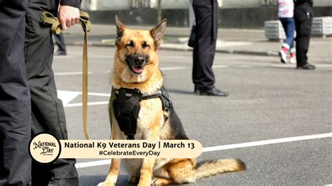 NATIONAL K9 VETERANS DAY March 13 National Day Calendar