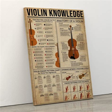 Amazon Violin Knowledge Wall Art Violin Knowledge Poster Facts