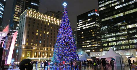 Taller than Rockefeller: Vancouver's official Christmas Tree is a ...