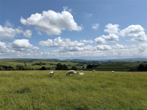 Luke Staunton On Twitter Some Scenes From A Walk Captured With The