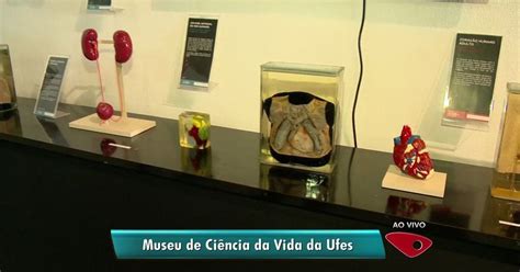 G Museu Ci Ncia Da Vida Da Ufes Faz Exposi O Sobre Corpo Humano