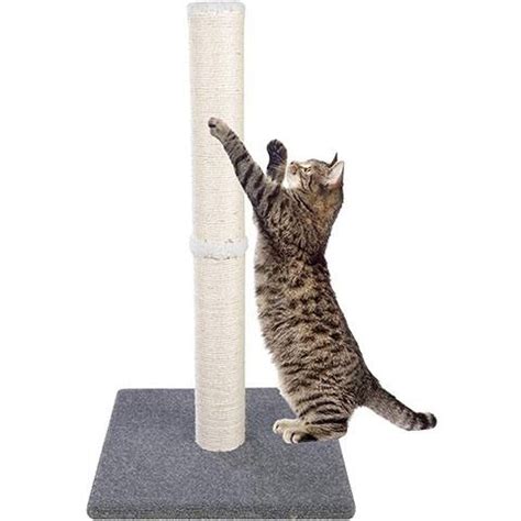 9 Best Scratching Posts For Large Cats In 2022 Reviews Top Picks