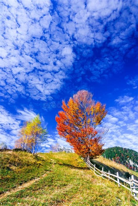 Autumn Village Landscape In Romania Stock Photo Image Of Rustic