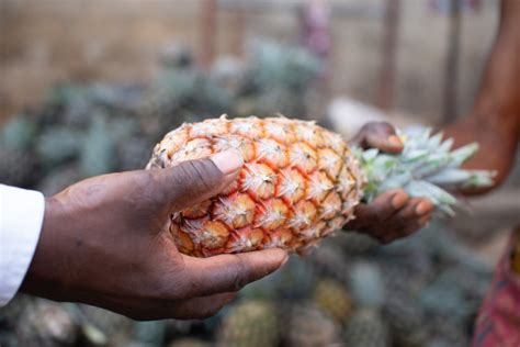 Transformation Des Produits Agricoles PIA TOGO