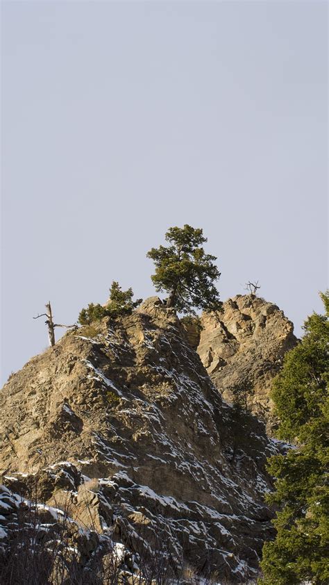 Hd Wallpaper Tree Forest Bozeman Montana Trail Nature Sky Rock