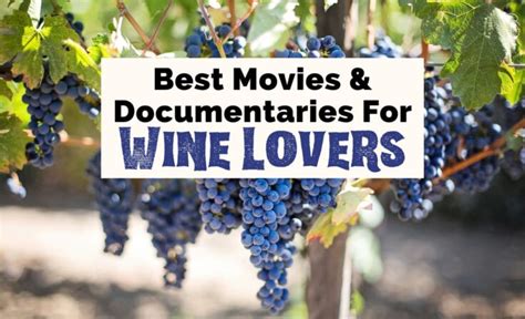 26 Fantastic Wine Movies And Documentaries To Watch Now The Uncorked