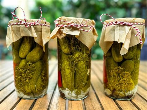 Comment Faire Des Cornichons Marin S Maison Pickle Cuisine Maison