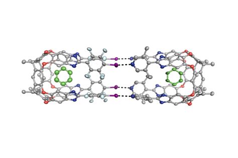 16 Unbelievable Facts About Supramolecular Chemistry - Facts.net