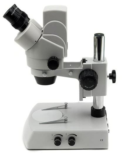 Optika Szm D Digital Stereoscopic Microscope — Raig