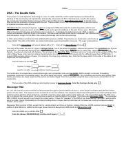 DNA The Double Helix Coloring Worksheet Pdf Name DNA The