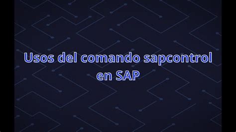 Usos Del Comando Sapcontrol En SAP YouTube