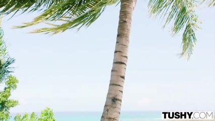 Tushy Bodacious Redhead Scarlett Loves Wild Anal Matthew Meier