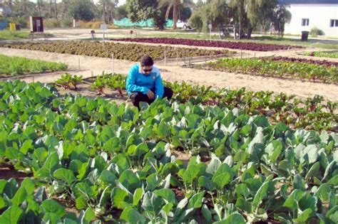 المهندسين الزراعين تطوير الزراعة لتصبح قطاعاً تجارياً جريدة