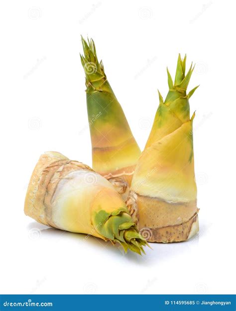 Bamboo Shoots Royalty Free Stock Photo 57867987