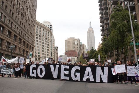 how to open a talenti gelato 3