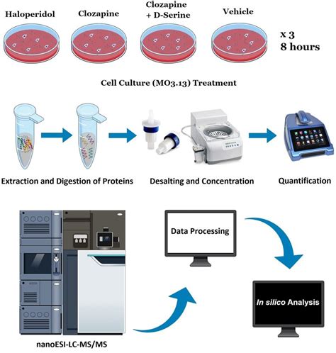 Experimental Steps From Cell Culture To In Silico Analysis This Figure