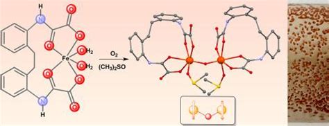 Magnetic Properties Of An Oxo Bridged Dinuclear Iron Iii Complex