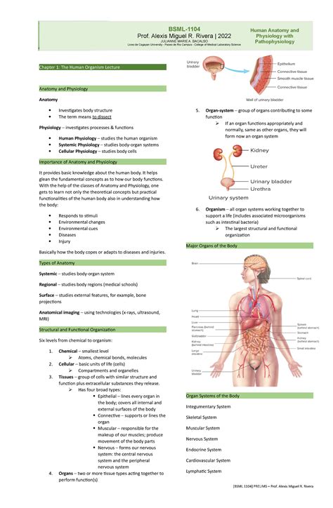 Anaphy Chapter 1 Transes Chapter 1 The Human Organism Lecture