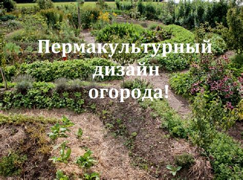 Уральский огород - без особых хлопот!: СКОЛЬКО ВРЕМЕНИ ЗАЙМЕТ СОЗДАНИЕ ...