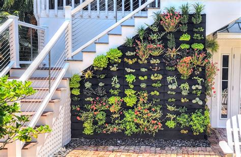 Brilliantly Located Vertical Garden Transforms Small Patio Plants On