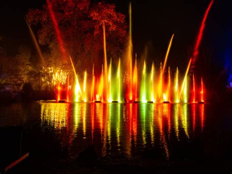 Bild Zauberhafte Lichtkunst Im Christmas Garden Schloss Grafenegg Nur