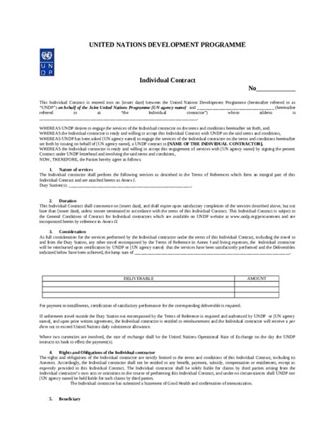 Ic Individual Contract On Behalf Of Un Agency Popp Undp Doc