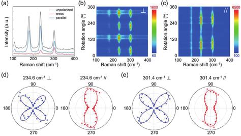 Polarization Sensitive Photodetector Based On Quasi 1d Zrse 3